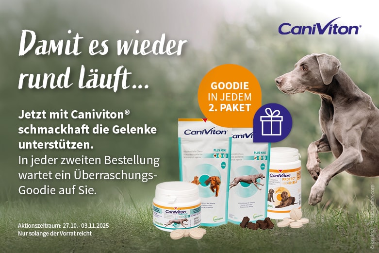Jetzt Überraschungs-Goodie in jeder 2. Bestellung von Caniviton entdecken!